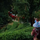翁家山村 - 杭州市旅游 缩略图 9