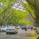 崇德路 - 泉州市旅游 缩略图 5