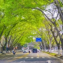 崇德路 - 泉州市旅游 缩略图 4