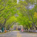 崇德路 - 泉州市旅游 缩略图 6