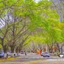崇德路 - 泉州市旅游 缩略图 7