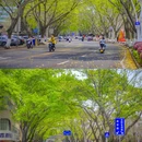崇德路 - 泉州市旅游 缩略图 9