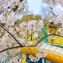 杭州少年儿童公园 - 杭州市旅游 缩略图 1