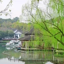 杭州少年儿童公园 - 杭州市旅游 缩略图 6