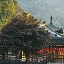 婺城区逸境·宋酒店(古子城步行街店) - 金华市旅游 缩略图 3