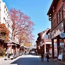 威镇阁 - 漳州市旅游 缩略图 3