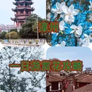 威镇阁 - 漳州市旅游 缩略图 1
