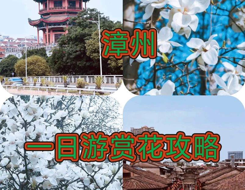 威镇阁 - 漳州市旅游 1
