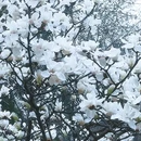 威镇阁 - 漳州市旅游 缩略图 6