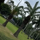 厦门旅游 缩略图 9
