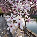 郑州旅游 缩略图 2