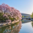 郑州旅游 缩略图 5