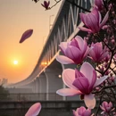 郑州旅游 缩略图 3