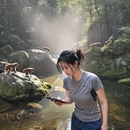 张家界旅游 缩略图 2