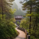 张家界旅游 缩略图 6