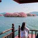 无锡旅游 缩略图 7