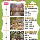 洛阳旅游 缩略图 1