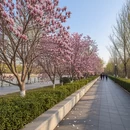 郑州旅游 缩略图 4