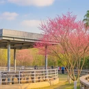 合肥旅游 缩略图 5