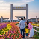 合肥旅游 缩略图 8