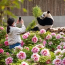 合肥旅游 缩略图 9