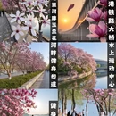 郑州旅游 缩略图 1