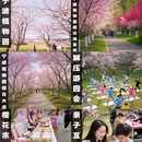 宁波旅游 缩略图 1
