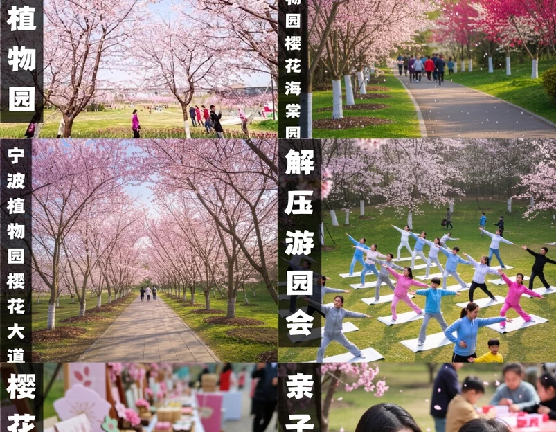 宁波旅游 1