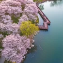 郑州旅游 缩略图 5