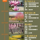 合肥旅游 缩略图 1