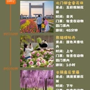合肥旅游 缩略图 2