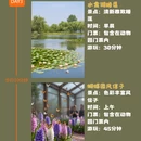 合肥旅游 缩略图 3