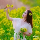 西安蓝田玉山油菜花观赏点 - 西安市旅游 缩略图 2