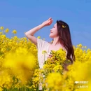 西安蓝田玉山油菜花观赏点 - 西安市旅游 缩略图 7