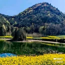 西安蓝田玉山油菜花观赏点 - 西安市旅游 缩略图 6