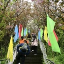 中山古镇 - 重庆旅游 缩略图 4