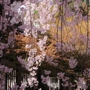 青龙寺 - 西安市旅游 缩略图 3
