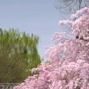 青龙寺 - 西安市旅游 缩略图 7
