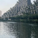 大洋晶典·天安千树 - 上海市旅游 缩略图 1
