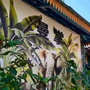 曼掌村 - 西双版纳傣族自治州旅游 缩略图 6
