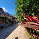 曼掌村 - 西双版纳傣族自治州旅游 缩略图 7