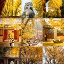 泰安溪美隐居酒店(泰山岱庙店) - 泰安市旅游 缩略图 1