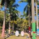 广州旅游 缩略图 7