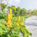 深圳旅游 缩略图 3