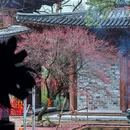 婺城区逸境·宋酒店(古子城步行街店) - 金华市旅游 缩略图 6