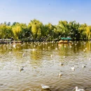 昆明旅游 缩略图 2