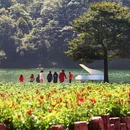 广州旅游 缩略图 3