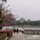 新和酒店(沅江洞庭湖博物馆店) - 益阳市旅游 缩略图 2