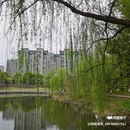 新和酒店(沅江洞庭湖博物馆店) - 益阳市旅游 缩略图 1