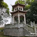 新和酒店(沅江洞庭湖博物馆店) - 益阳市旅游 缩略图 7